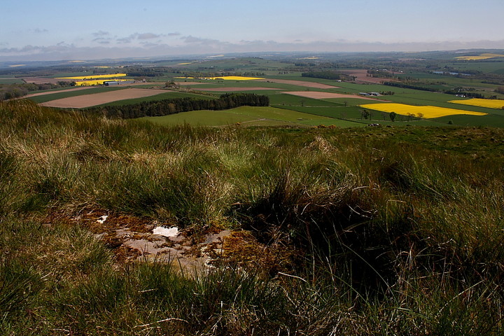 Turinhill Craigs (Cup and Ring Marks / Rock Art) by GLADMAN