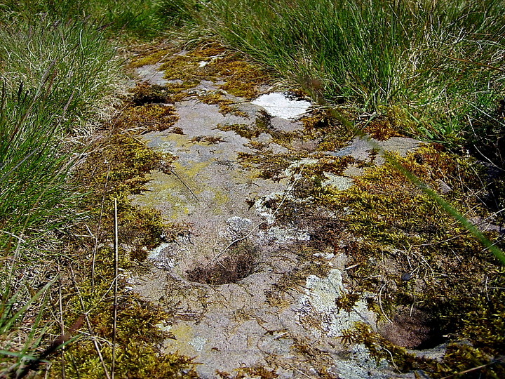 Turinhill Craigs (Cup and Ring Marks / Rock Art) by GLADMAN