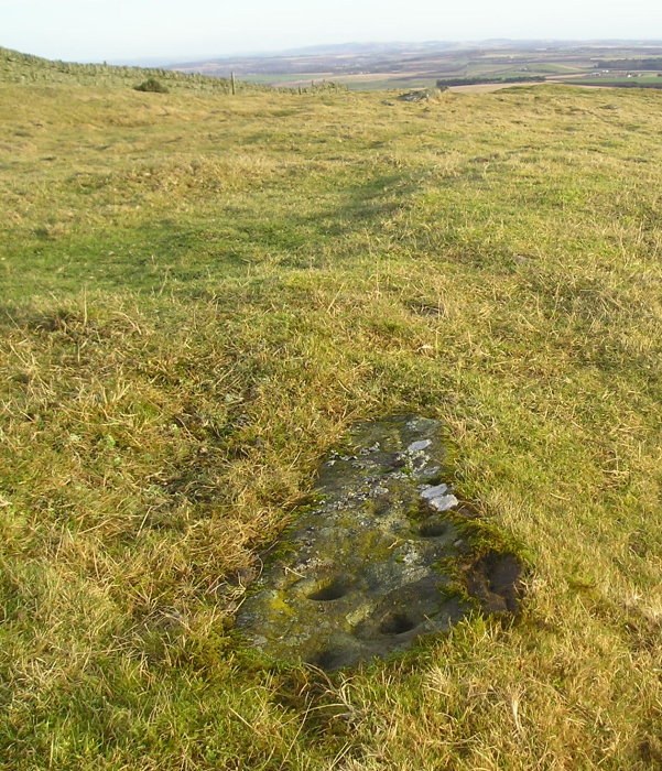 Turinhill Craigs (Cup and Ring Marks / Rock Art) by tiompan