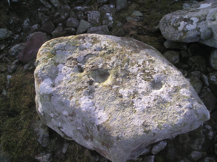 Turinhill Craigs (Cup and Ring Marks / Rock Art) by tiompan