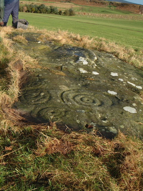 Dod Law Hillfort rock art (Cup and Ring Marks / Rock Art) by moey