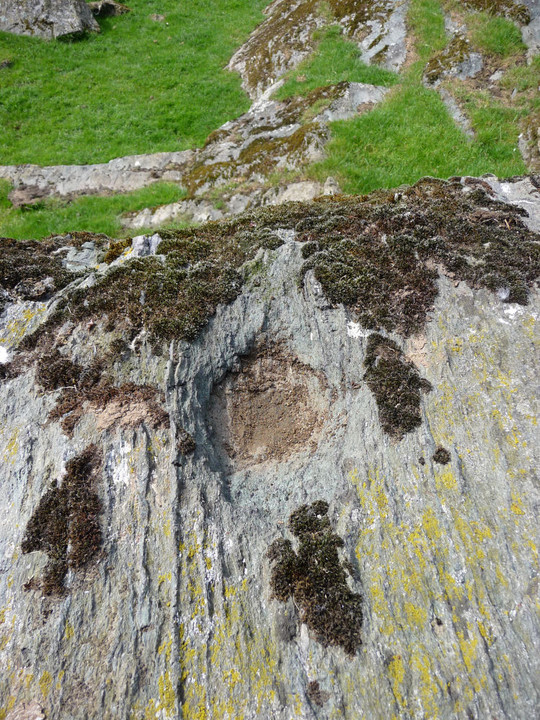 Bryn Celli Ddu Gorsedd (Natural Rock Feature) by thesweetcheat