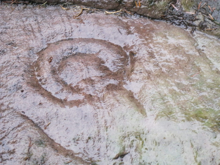 Stronach Wood (Cup and Ring Marks / Rock Art) by Howburn Digger