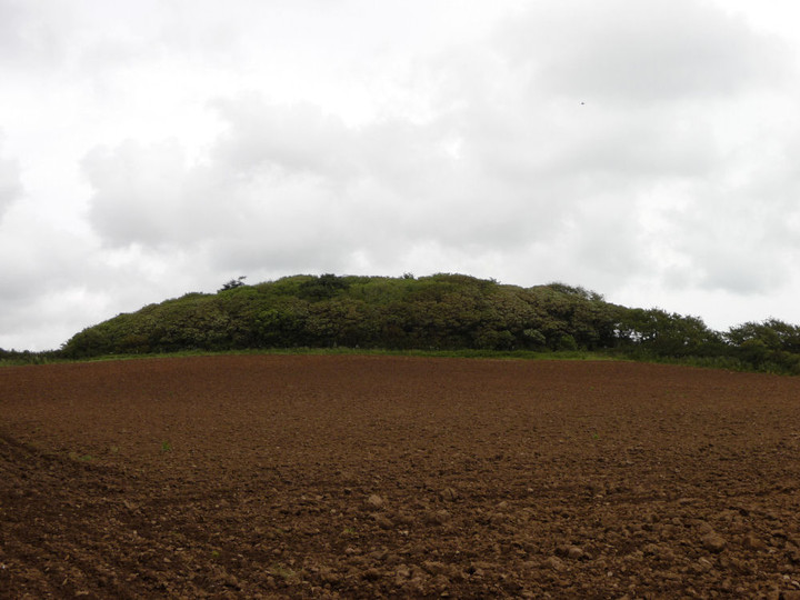Lesingey Round (Hillfort) by thesweetcheat