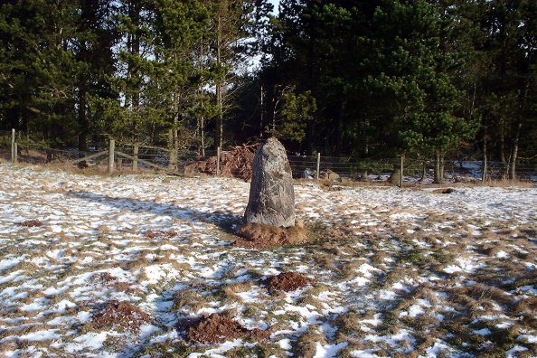 Meikle Kenny Standing Stone (Standing Stone / Menhir) by nickbrand