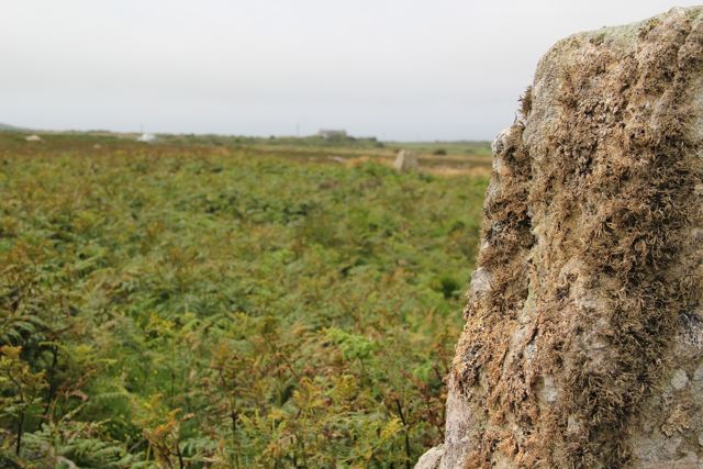 Porthmeor (Treen Common) (Stone Circle) by texlahoma