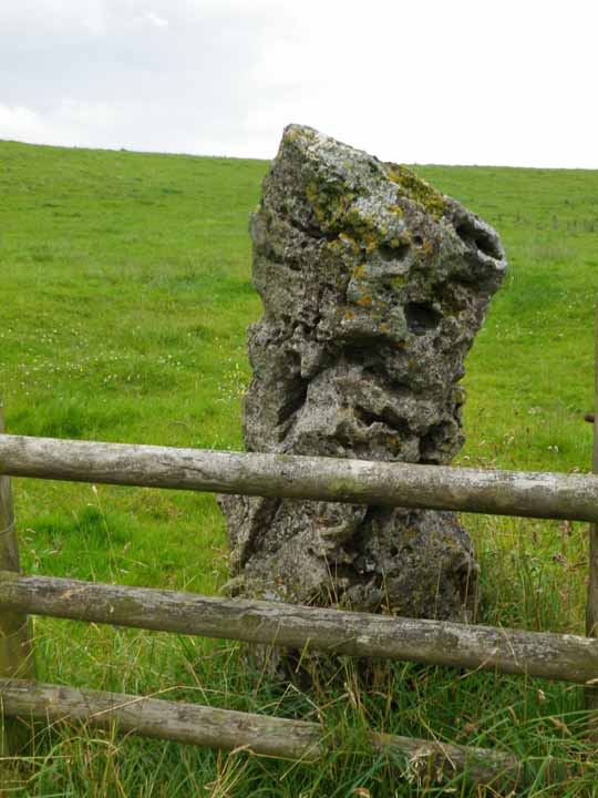 Eaton Dale Wood (Standing Stone / Menhir) by stubob