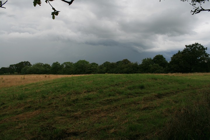 Meadows Farm (Round Barrow(s)) by postman