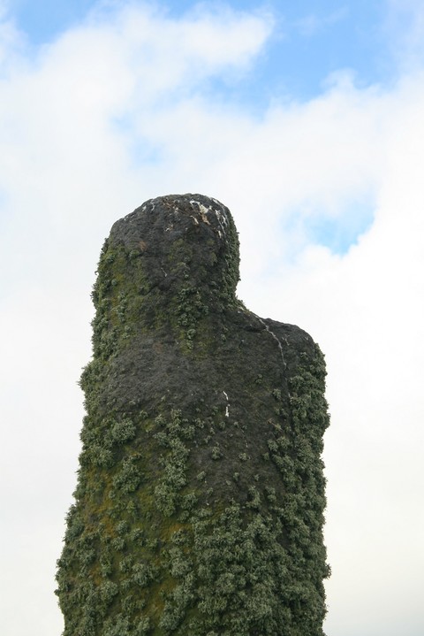 Llangwnnadl Menhir (Standing Stone / Menhir) by postman