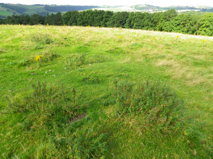 Crackendale Pasture (Round Barrow(s)) by stubob