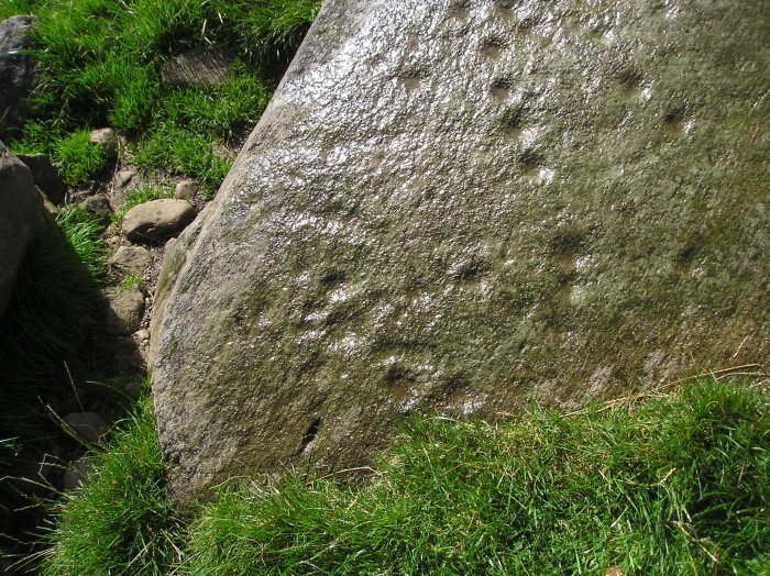 Connachan (Cup and Ring Marks / Rock Art) by tiompan