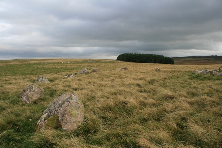 Oddendale (Stone Circle) by postman