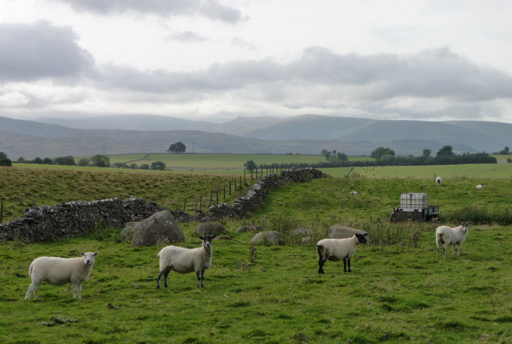 Castlehowe Scar (Stone Circle) by thesweetcheat