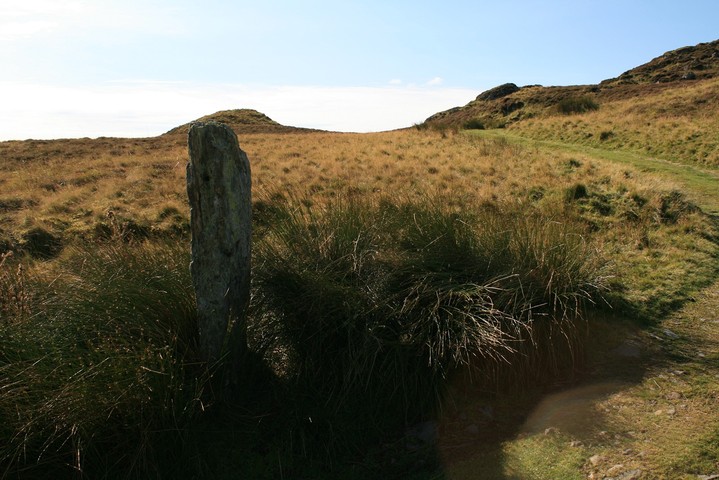 Clogwyn-yr-Eryr (possible) stone row (Stone Row / Alignment) by postman