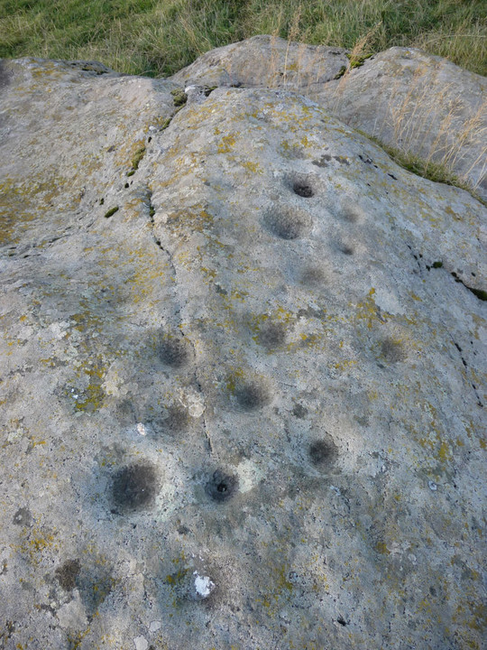 Avochie Stone (Cup and Ring Marks / Rock Art) by thesweetcheat