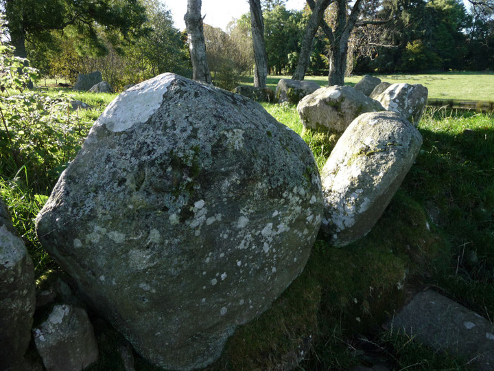 Dalcross Mains (Clava Cairn) by thesweetcheat