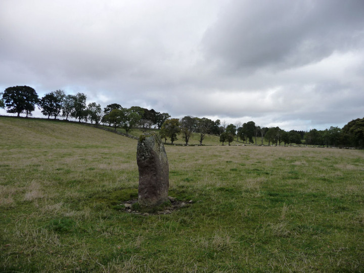 Dalgrambich (Standing Stone / Menhir) by thesweetcheat