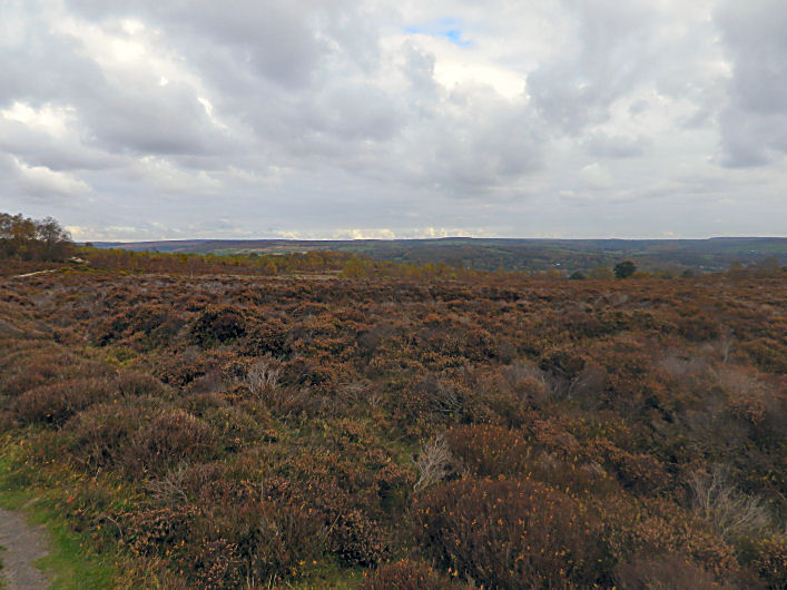 Stanton Moor South (Stone Circle) by stubob
