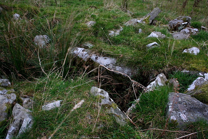 Cae'r Arglwyddes II (& the White Stone) (Round Cairn) by GLADMAN