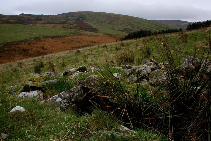 Cae'r Arglwyddes II (& the White Stone) (Round Cairn) by GLADMAN