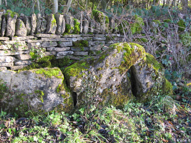 Hangman's Stone, Hampnett (Holed Stone) by tjj