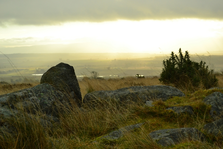Braes of Fowlis (Stone Circle) by thelonious