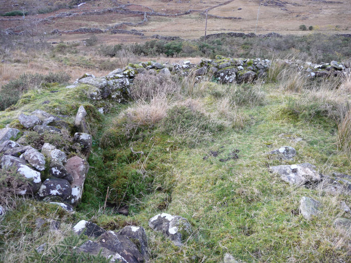 Settlement north of Cwm Dyli power station (Ancient Village / Settlement / Misc. Earthwork) by thesweetcheat
