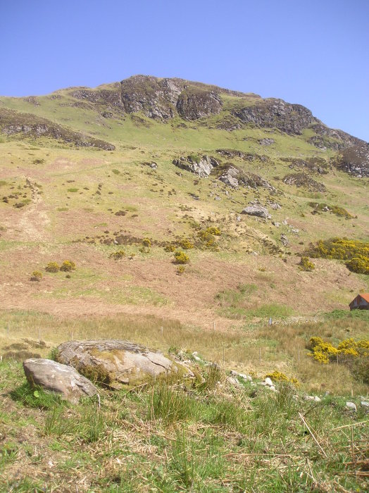 Carr Brae (Cup Marked Stone) by tiompan