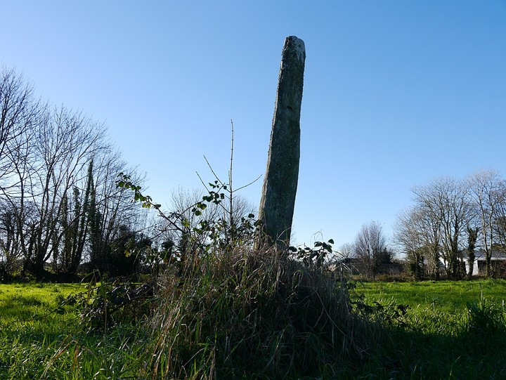 Lissangle (Standing Stone / Menhir) by Meic