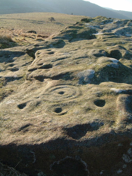 Lordenshaw (Cup and Ring Marks / Rock Art) by moey