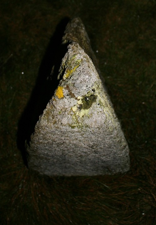 Cerrig Pryfaid (Stone Circle) by postman