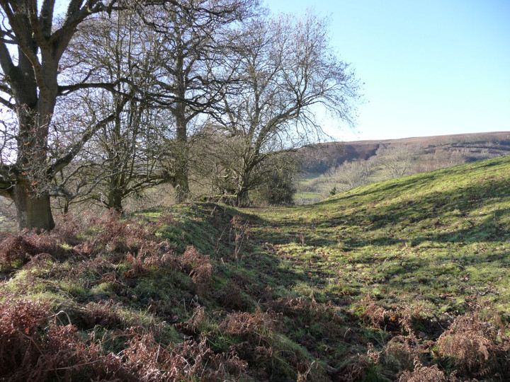 Coed y Gaer (Hillfort) by thesweetcheat