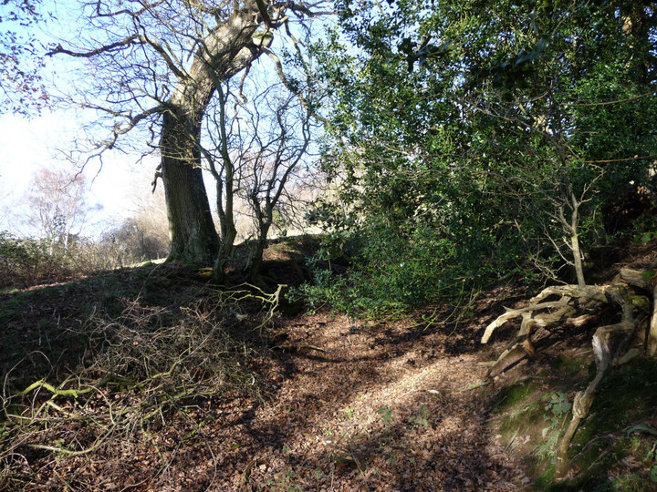 Coed y Gaer (Hillfort) by thesweetcheat