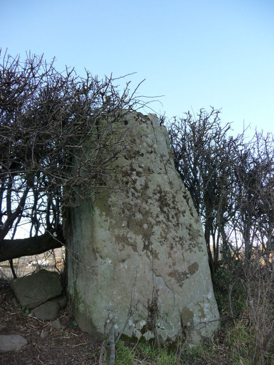 The Tretower Stone (Standing Stone / Menhir) by thesweetcheat