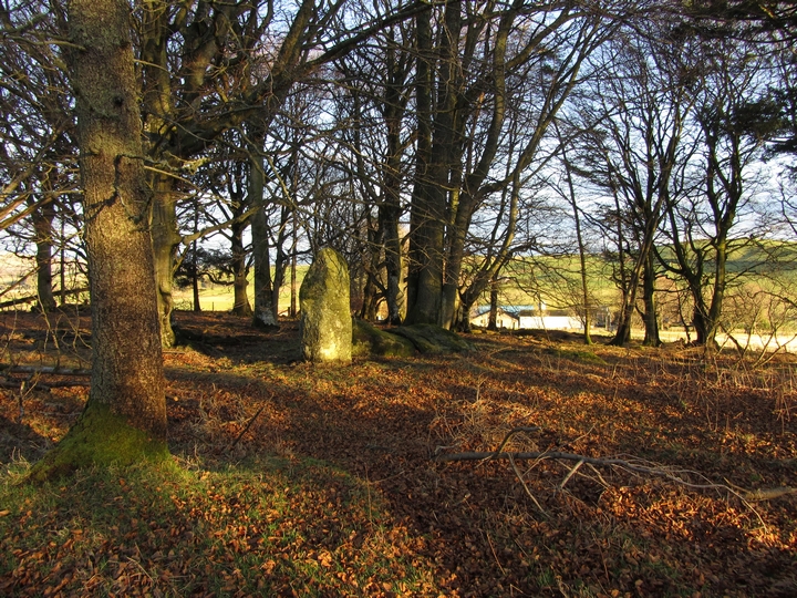 Corrstones (Stone Circle) by thelonious