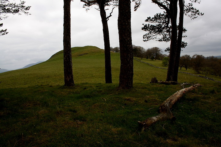 Bizzyberry Hill (Hillfort) by GLADMAN