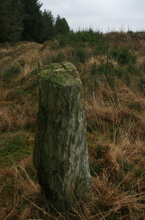 Cerrig y Cledd (Standing Stone / Menhir) by postman