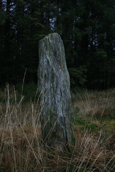 Cerrig y Cledd (Standing Stone / Menhir) by postman