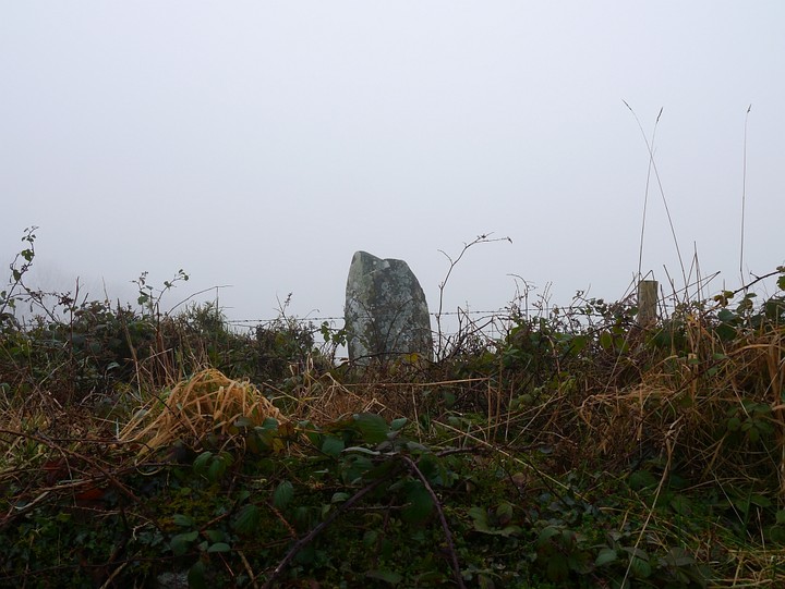 Clashmaguire (Standing Stone / Menhir) by Meic