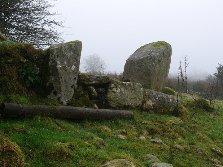 Gortnalicky (Standing Stone / Menhir) by Meic