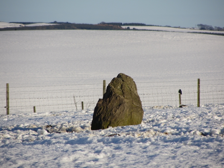 Ferneybrae (Standing Stone / Menhir) by thelonious