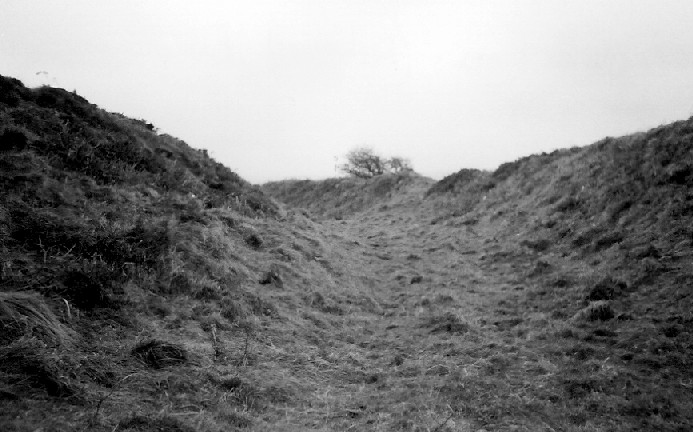 Castle-an-Dinas (St. Columb) (Hillfort) by pure joy