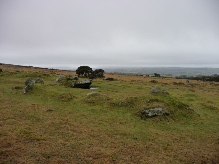 West Saddlesborough Hut Circles (Ancient Village / Settlement / Misc. Earthwork) by thesweetcheat