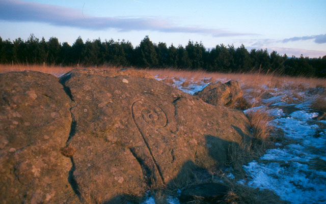 Pikestones (Chambered Cairn) by moony