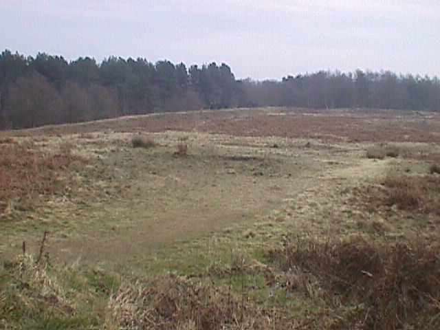 Castle Ring (Cannock Wood) (Hillfort) by Howden