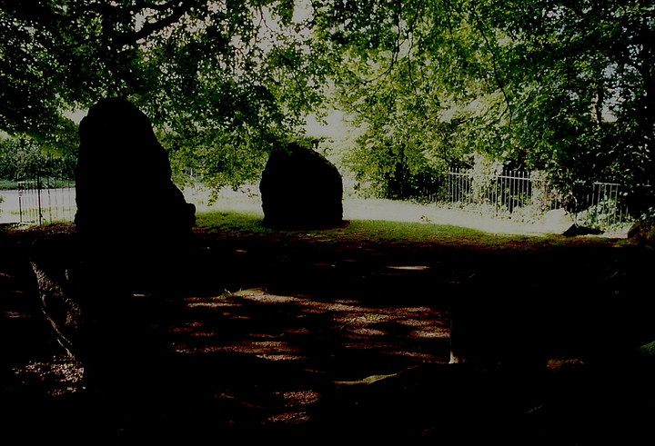 The Nine Stones of Winterbourne Abbas (Stone Circle) by GLADMAN