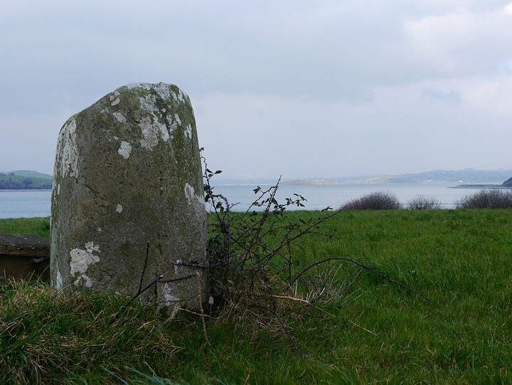 Dromclogh (Standing Stone / Menhir) by Meic