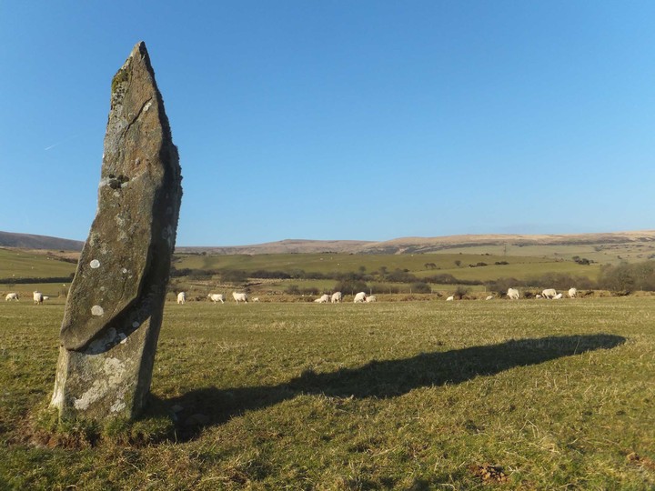 Maen-y-Parc 'A' (Standing Stone / Menhir) by ttTom