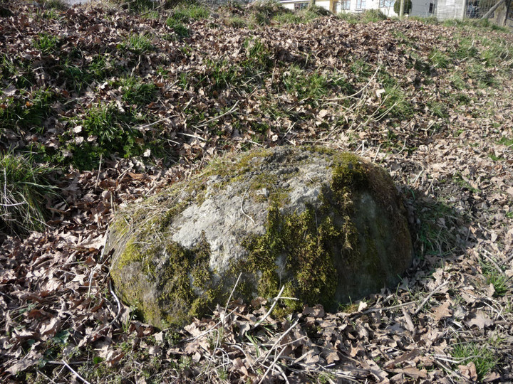 Kinnerton Court Stone II (Standing Stone / Menhir) by thesweetcheat