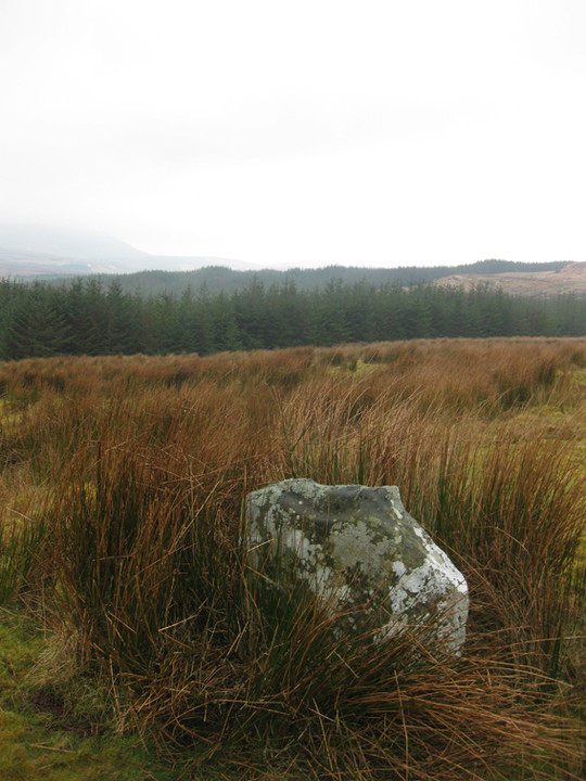 Meenkeeragh standing stone (Standing Stone / Menhir) by ryaner